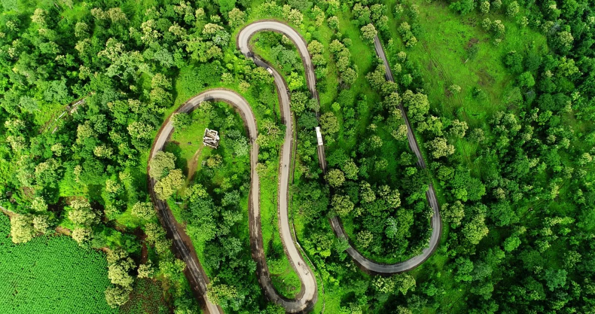 Kerimeri Road